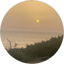 Alexandre S Rocha profile picture